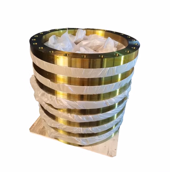 DIN/ANSI Stainless Steel High Welding Neck Flange