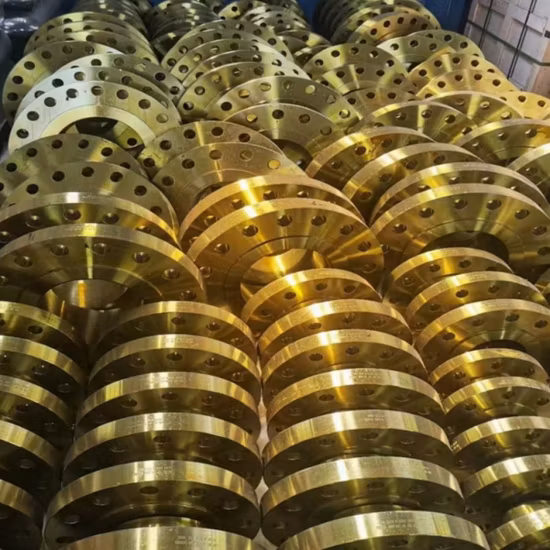 DIN/ANSI Stainless Steel High Welding Neck Flange