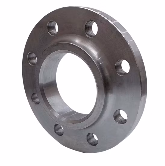 DIN/ANSI Stainless Steel High Welding Neck Flange