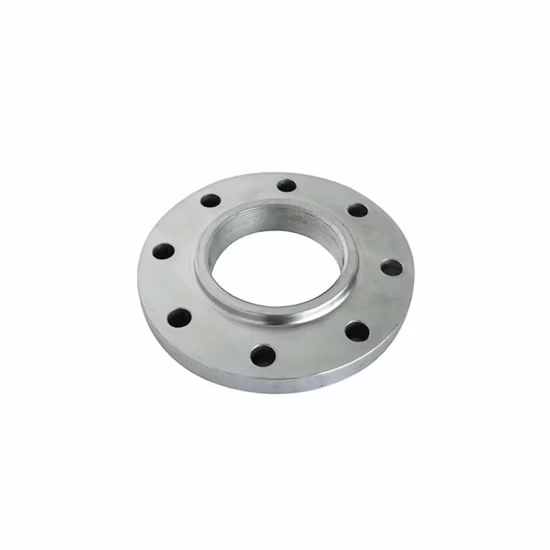 ASME DIN Customize Forged Welding Neck Flange Stainless Steel Forged Flanges