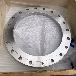 ANSI B16.5 F316/L 201 304 Forged Blind Flange Slip on Flange Raised Face Stainless Steel Blind Flange