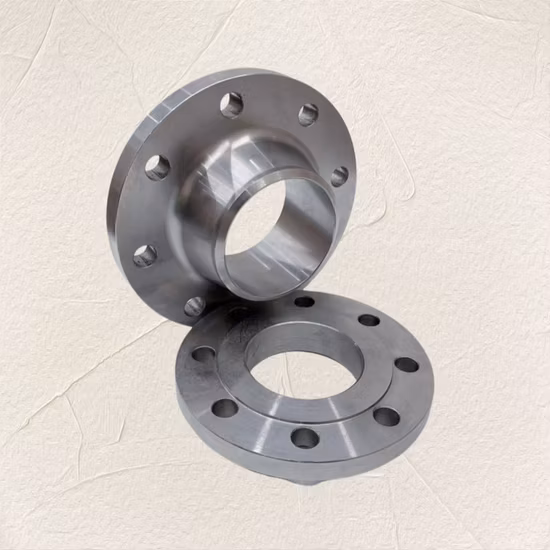 DIN/ANSI Stainless Steel High Welding Neck Flange