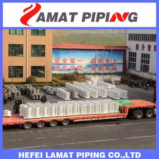 ASTM/DIN/BS4504/GOST/SABS/JIS/En Forged Steel Welding Neck Wn Flanges