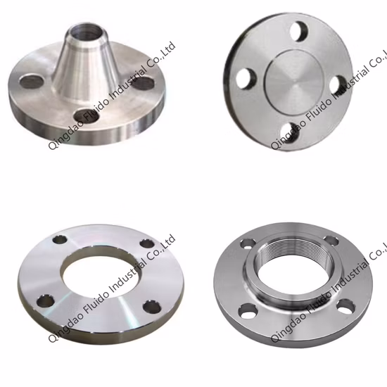 ANSI DIN JIS BS En Standard Stainless Steel Welding Neck Flange as Construction Material