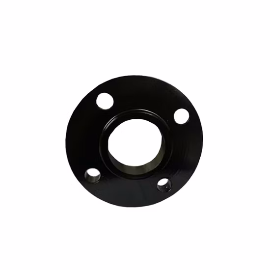 Welding Forged Weld Neck Thread Slip on Blind Flat Plate Carbon Steel Stainless Flange