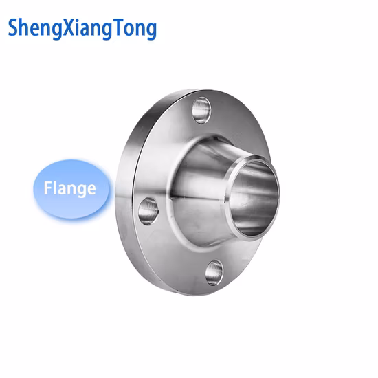ANSI/DIN/JIS/En Carbon Steel Threaded/Plate/Blind Flange Alloy Steel Forged Stainless Steel Blind Blank Flanges for Semiconductor