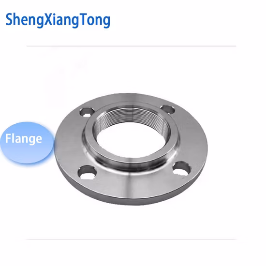 ANSI/DIN/En1092-1 Forged Carbon/Stainless Steel Pn10/16 Welding Neck/Blind/Slip on/Lap Joint/Flat Plate/Socket RF/FF Pipe Flanges